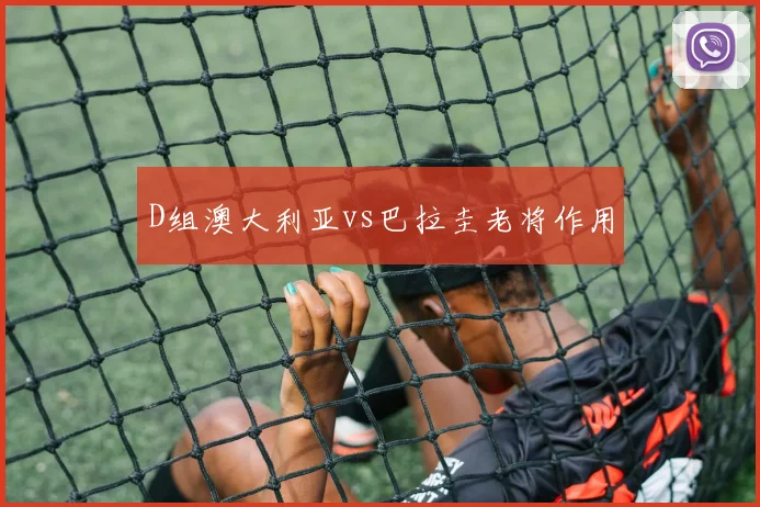 D组澳大利亚vs巴拉圭老将作用