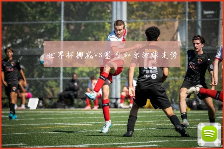 世界杯挪威vs塞内加尔控球走势