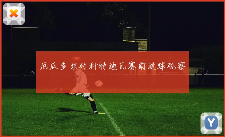 厄瓜多尔对科特迪瓦赛前进球观察