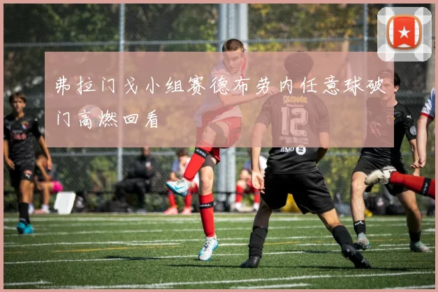 弗拉门戈小组赛德布劳内任意球破门高燃回看