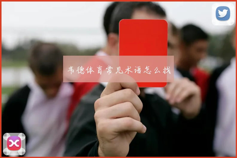 韦德体育常见术语怎么找