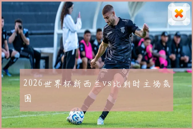 2026世界杯新西兰vs比利时主场氛围