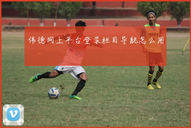 伟德网上平台登录栏目导航怎么用