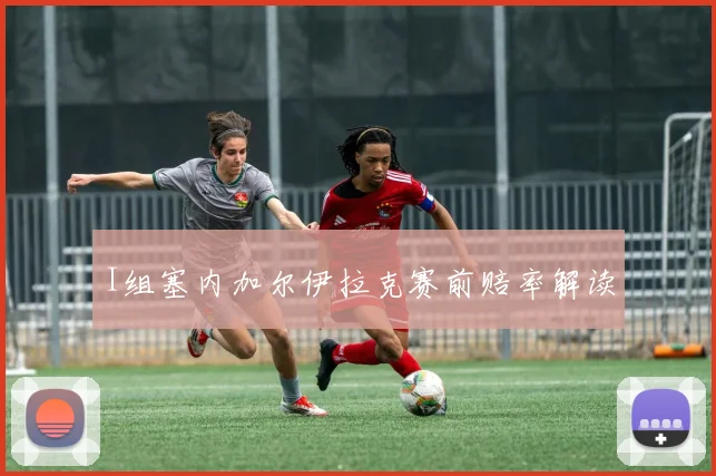 I组塞内加尔伊拉克赛前赔率解读