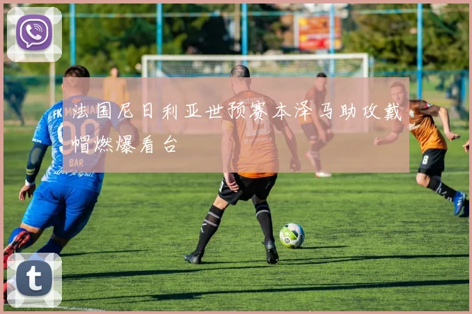 法国尼日利亚世预赛本泽马助攻戴帽燃爆看台
